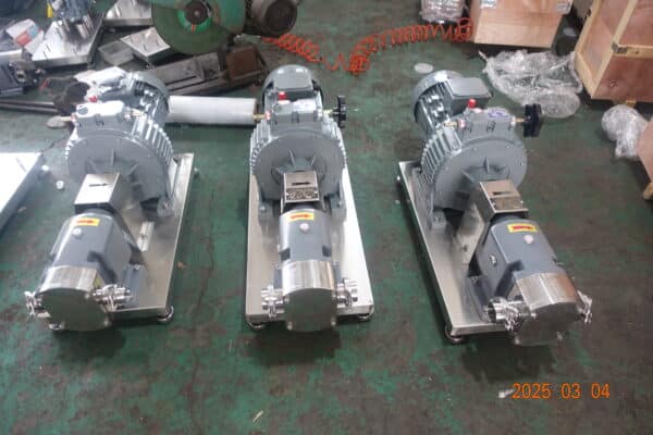 4KW hygienic lobe pump